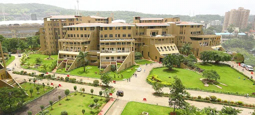  Padmashree D Y Patil Medical College 