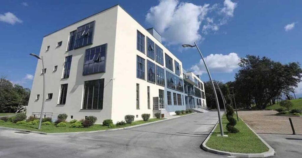 Student life at Central University of Europe Georgia